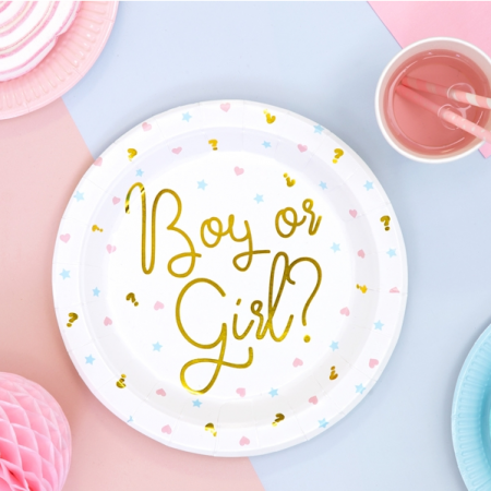 6 assiettes "Boy or Girl ?"...