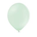 10 ballons pastel pistache -  28 cm