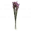 Bouquet naturel séché "statice mauve" - 80 g