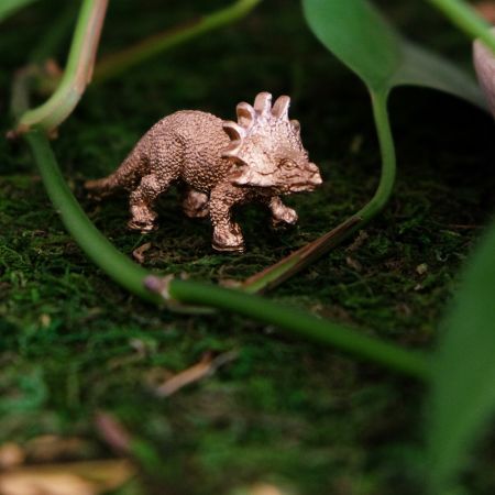 5 figurines "dinosaures"