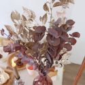 Bouquet d'eucalyptus stabilisé "cinerea rosé" - 150 g