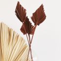 10 feuilles terracotta "palm spear" - 55 cm