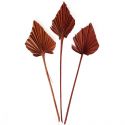 10 feuilles terracotta "palm spear" - 55 cm