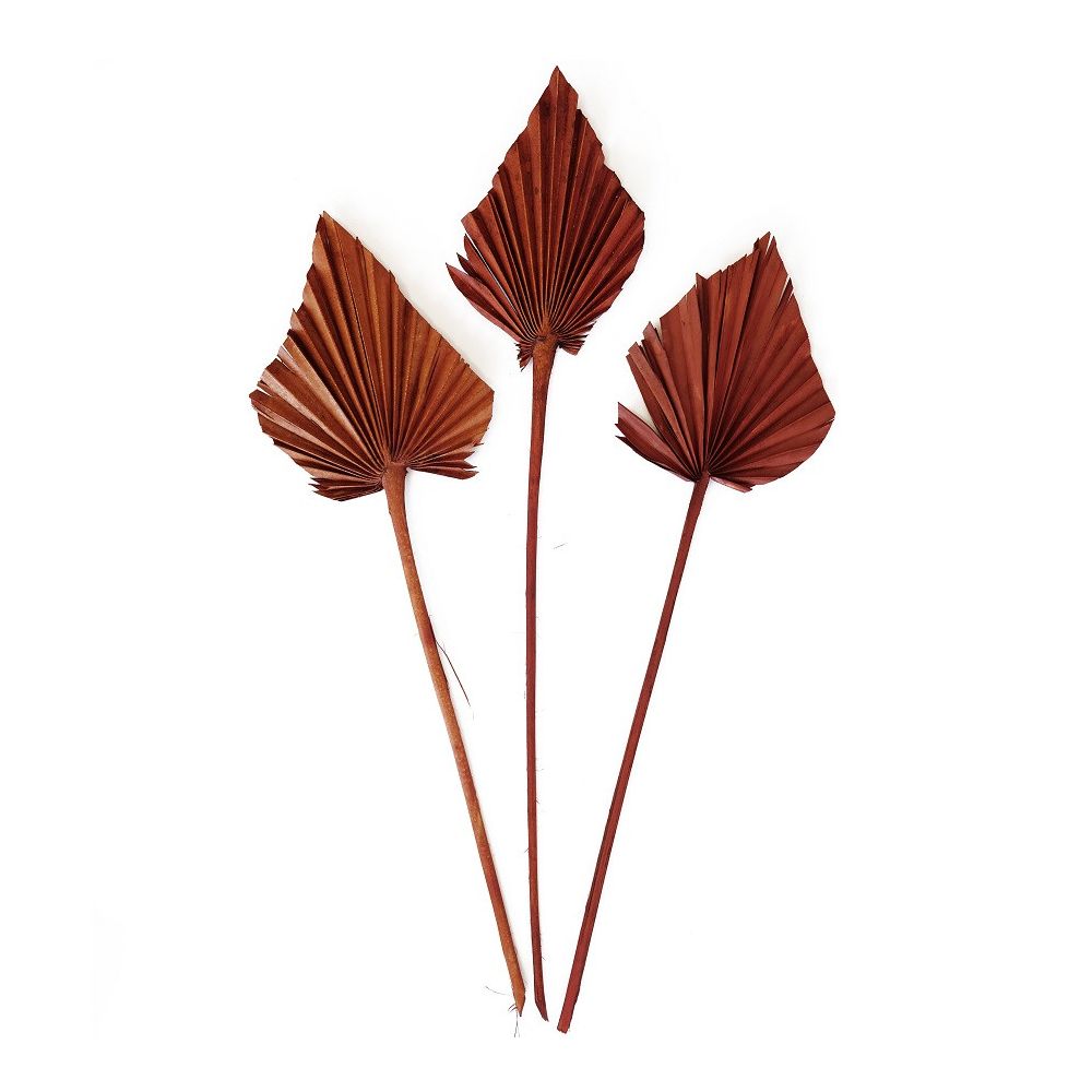 10 feuilles terracotta "palm spear" - 55 cm