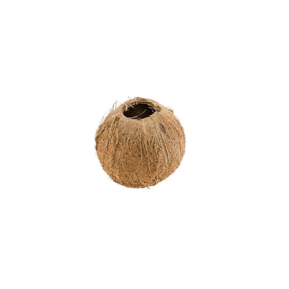 Décoration noix de coco