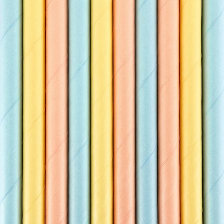 10 Pailles en papier Summer...