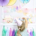 Guirlande de mini tassel pastel - 1.2 m