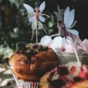 24 caissettes à cupcakes et 24 pics à gâteaux "fée"