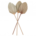 3 feuilles de palme naturelles découpées - 55 cm