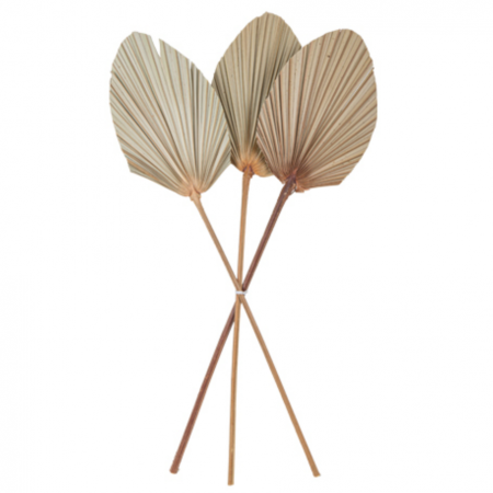 3 feuilles de palme...