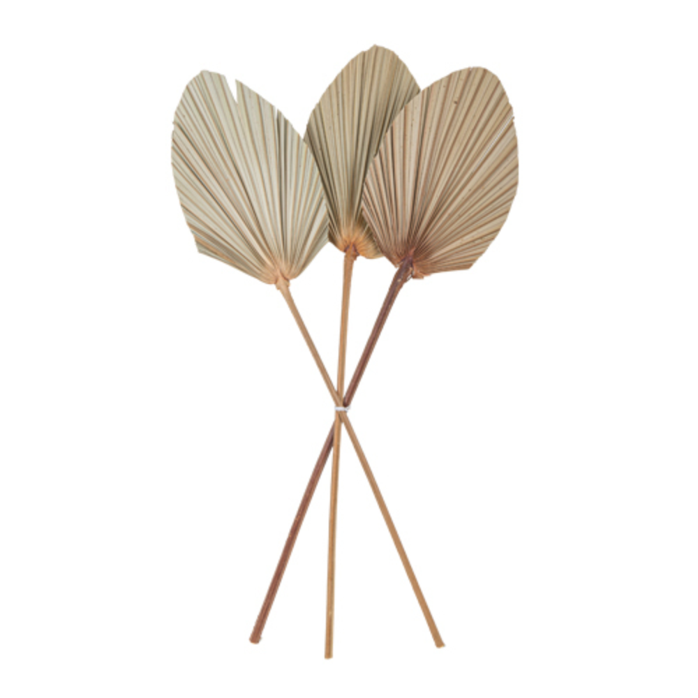 3 feuilles de palme naturelles découpées - 55 cm
