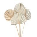 10 feuilles naturelles "palme arrondie" - 50 cm