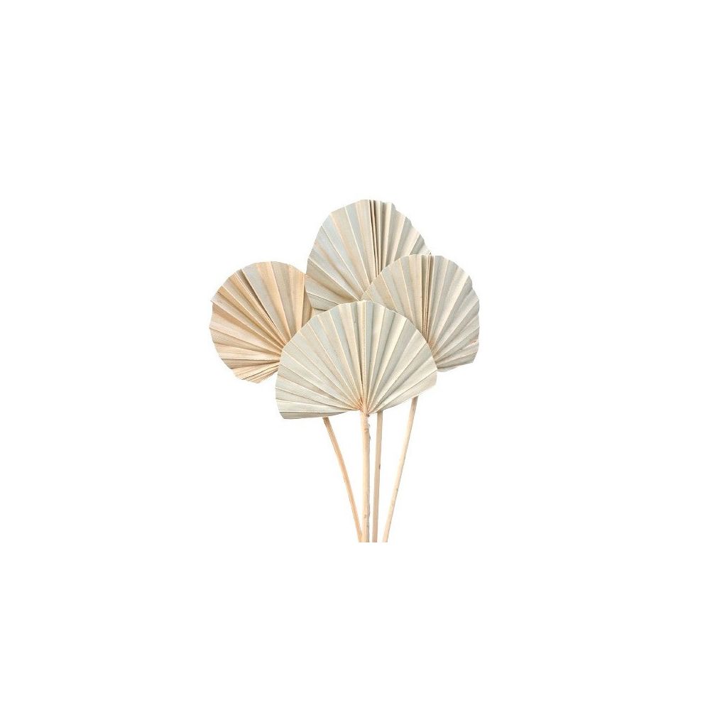 10 feuilles naturelles "palme arrondie" - 50 cm