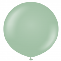Ballon en latex "sauge" -  45 cm