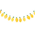 Guirlande citron "garden party" - 2,5 m