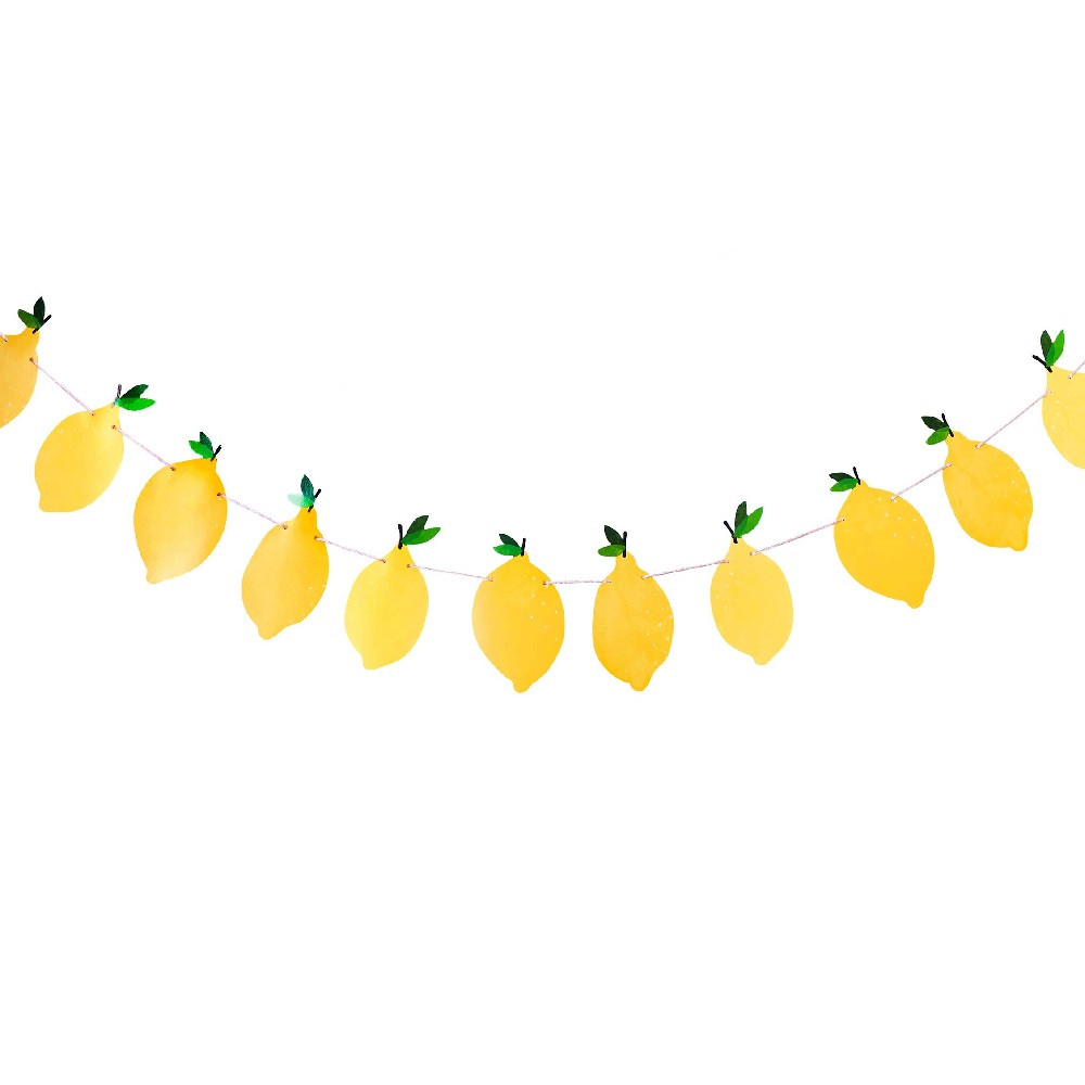 Guirlande citron "garden party" - 2,5 m