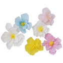 Lot de 6 fleurs "Hello spring"