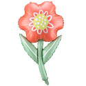 Ballon mylar "fleur des champs" - 96 cm