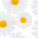 12 petites décorations "marguerite"