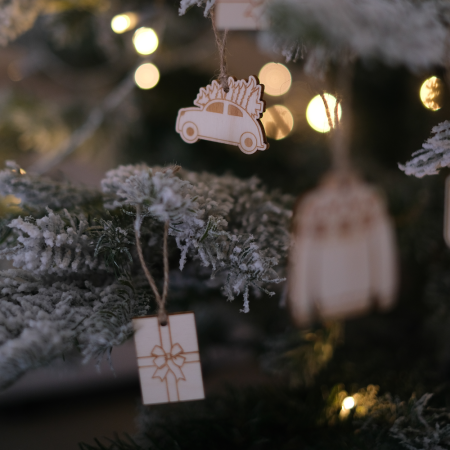 Lot de 5 mini décorations...