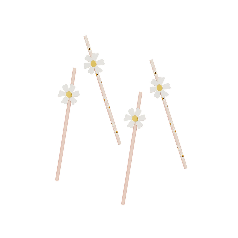 16 pailles marguerite