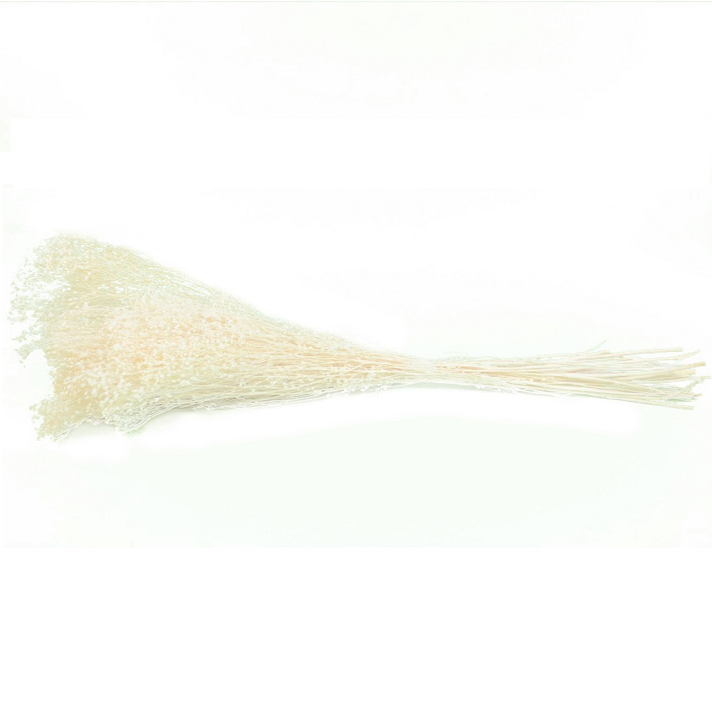 Bouquet stabilisé blanc "broom" - 100 g