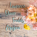 Marque place personnalisable "Sauge"