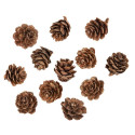 12 pommes de pin - 2 cm