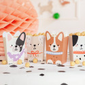 6 pots à popcorn "chien"