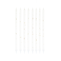 8 bougies longues "white and gold"