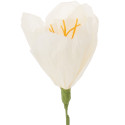 Fleur en papier crépon "narcisse crème"