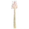 Bouquet séché "plumeaux lagurus" rose pastel
