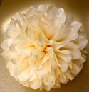 Pompon en papier crème - 25cm