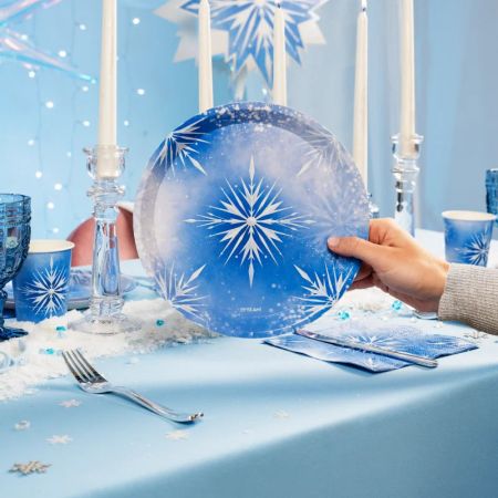 6 assiettes "frost" - 23 cm