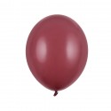 10 ballons prune - 27 cm