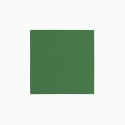 50 serviettes premium vert forêt - 12.5 cm