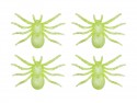 4 Grandes araignées phosphorescentes