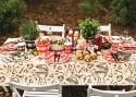 20 Serviettes BBQ
