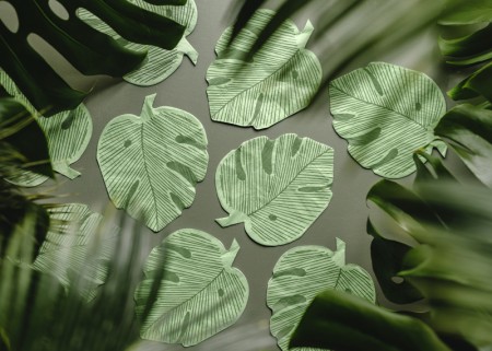 12 Serviettes Feuille de...