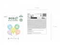 5 Ballons Eco 30 cm - Marguerites