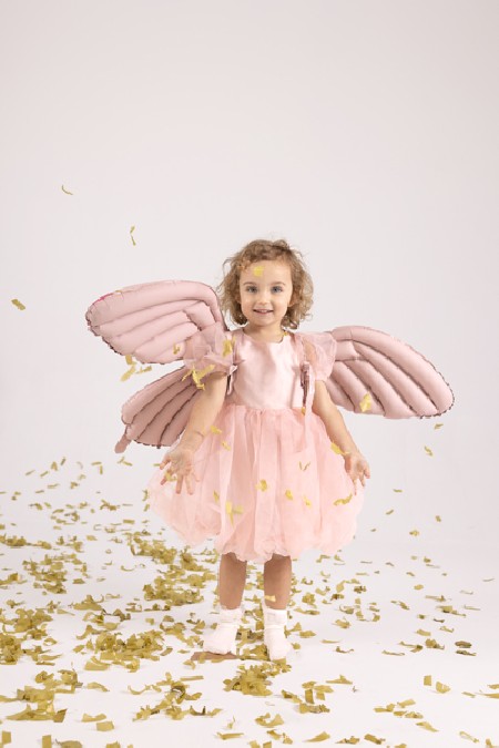 Ballon mylar Ailes de...