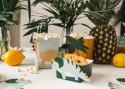 6 pots à gourmandises "dinosaures"