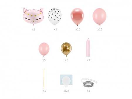 Bouquet de ballons - chat -...