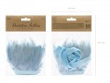Guirlande de plumes - bleu clair