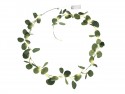 Guirlande Eucalyptus - LED