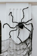 Décoration araignée - noir