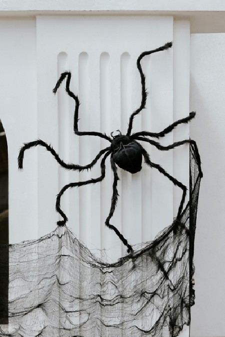 Décoration araignée - noir