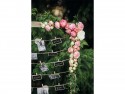 10 Boucles en bois - bois naturel