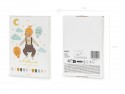 Cartes bébé 12 mois pour photos - Ballons