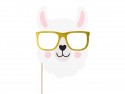 5 Gadgets pour photos Lama